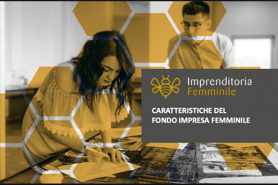 Imprenditoria femminile:  WEBINAR INFORMATIVO A cura di Susanna Zuccarini e Gaia Piersanti